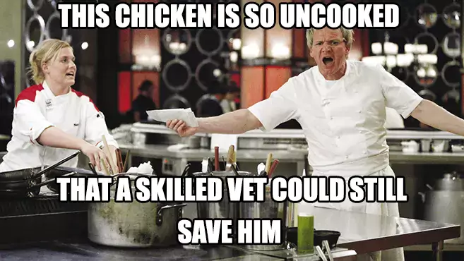 gordon-ramsay-meme